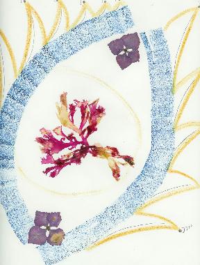 Pastel et collage d’algues roses de Bretagne de Catherine Réault-Crosnier intitulé Regards d’algues.