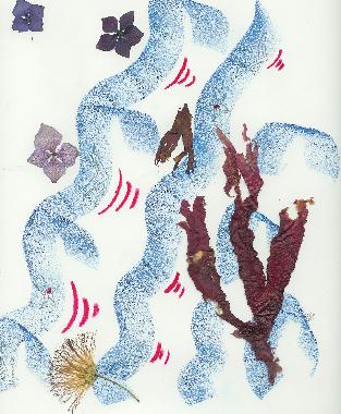 Pastel et collage d’algues roses de Bretagne de Catherine Réault-Crosnier intitulé Hymne au rêve.