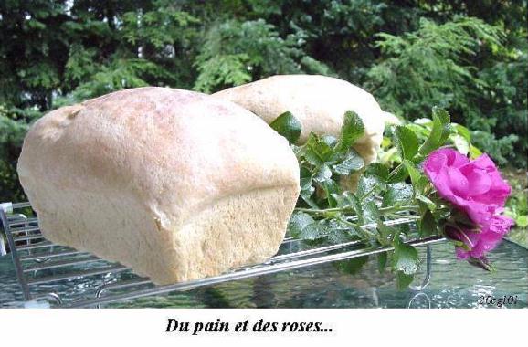 Photo de Claire Guillemette LAMIRANDE illustrant le poème DU PAIN ET DES ROSES de Lysette BROCHU.
